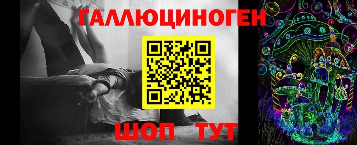 где купить наркотик  Галлюциногенные грибы Cubensis  Лосино-Петровский  Вход с VPN  Псилоцибиновые грибы GOLDEN TEACHER 